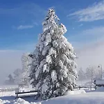 Sportpension Alpenrose 3*