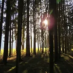 Sportpension Alpenrose