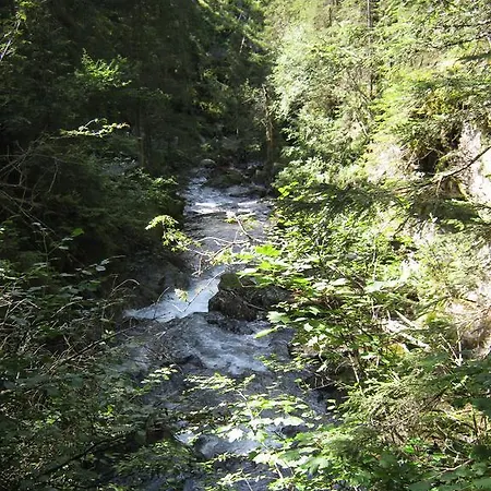 Sportpension Alpenrose Pensionat Schladming