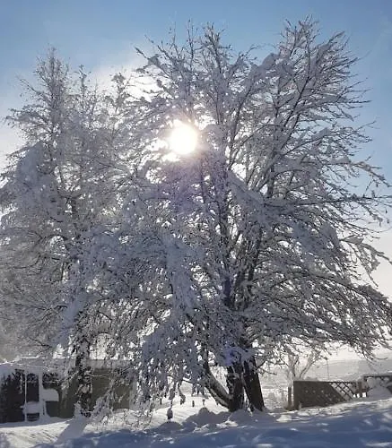 Gasthof Sportpension Alpenrose 4*