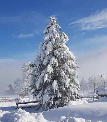 Sportpension Alpenrose 4*