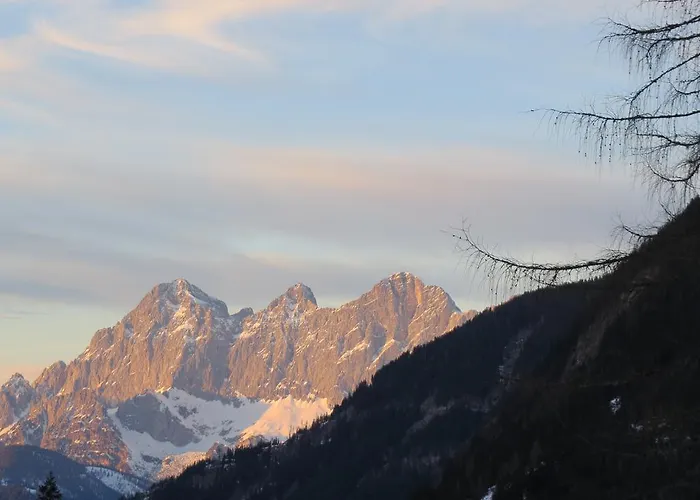 Sportpension Alpenrose Gasthof 4*